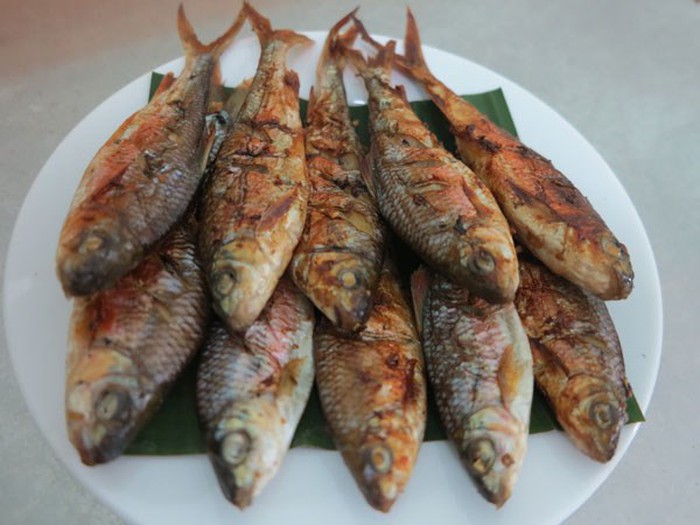Sự thật kinh ngạc về cá mát, đệ nhất đặc sản xứ Nghệ