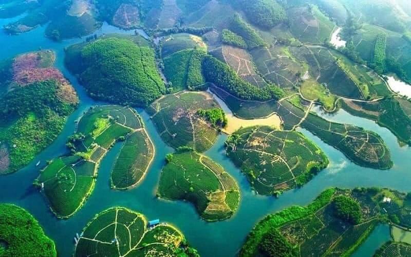 Đồi chè Thanh Chương - Hòn đảo xanh giữa lòng xứ Nghệ